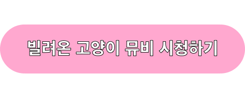 빌려온고양이_뮤직비디오_시청하기