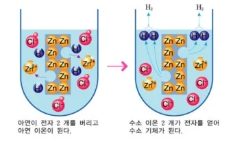 아연 효능과 부족 증상 복용법 부작용 음식 권장량 총정리_11