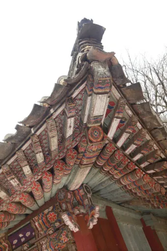 사래가 잘 걸리는 이유 사래 걸렸을때 대처법_23