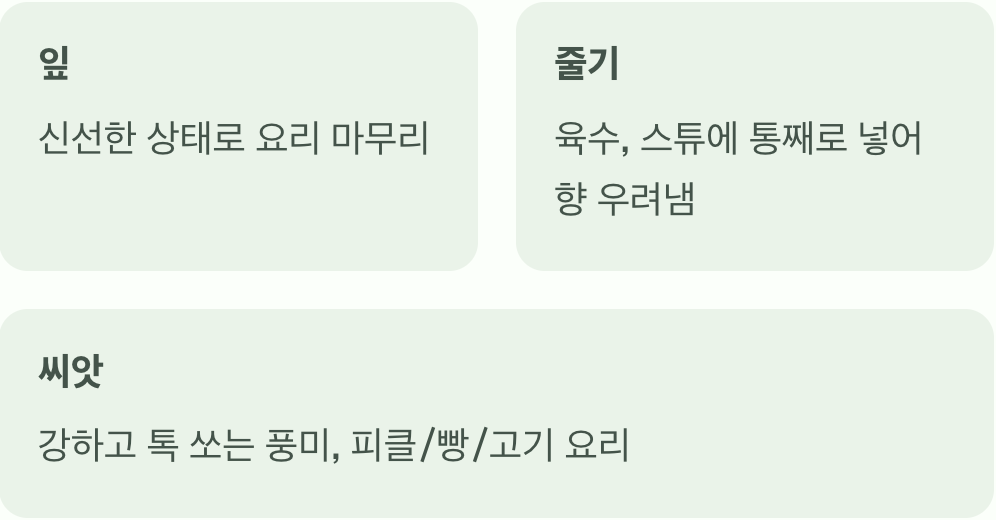 잎부터 씨앗까지, 버릴 것이 없어요