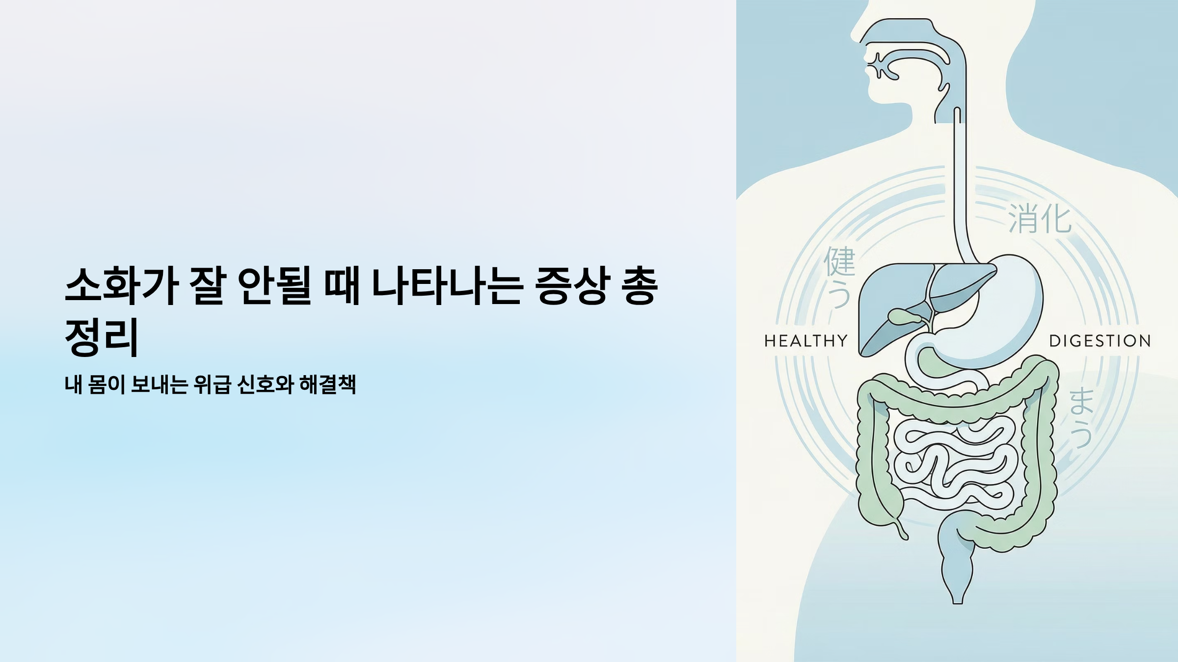 소화가 잘 안될때 나타나는증상 가이드