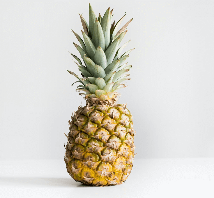 가래에 좋은 음식 파인애플