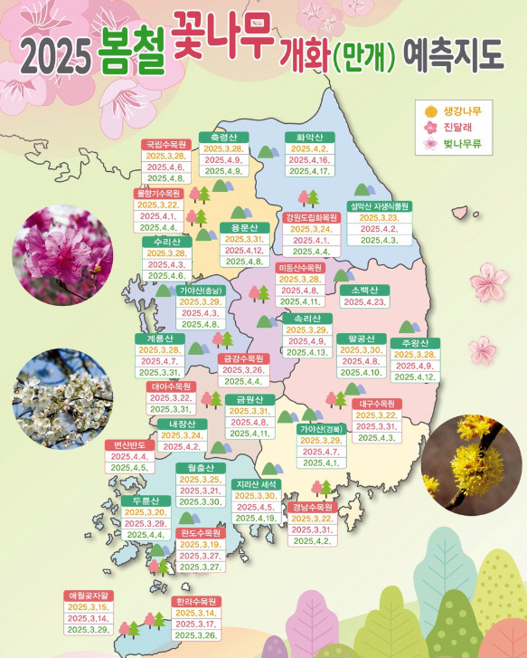 벚꽃 만개 지도