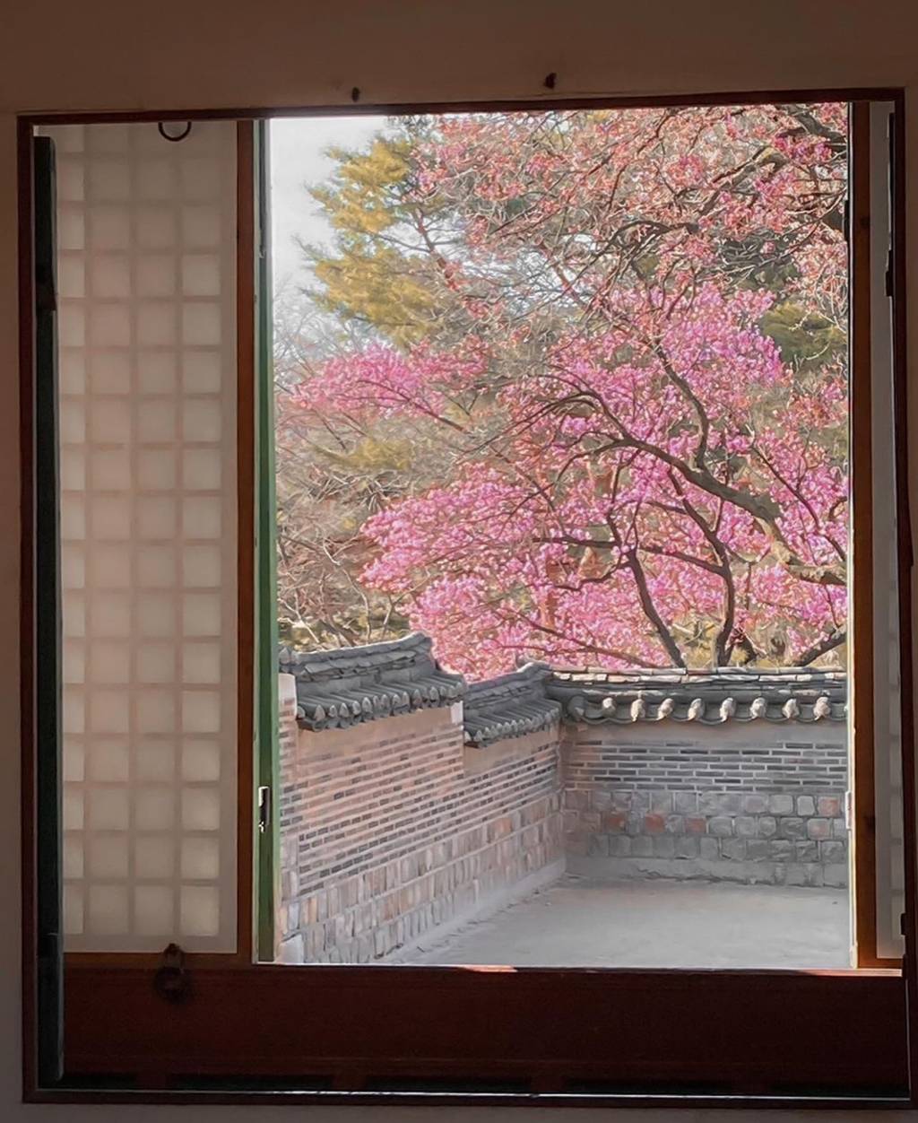 창덕궁-빛&middot;바람-들이기-행사-창호개방-3/12-~-3/16