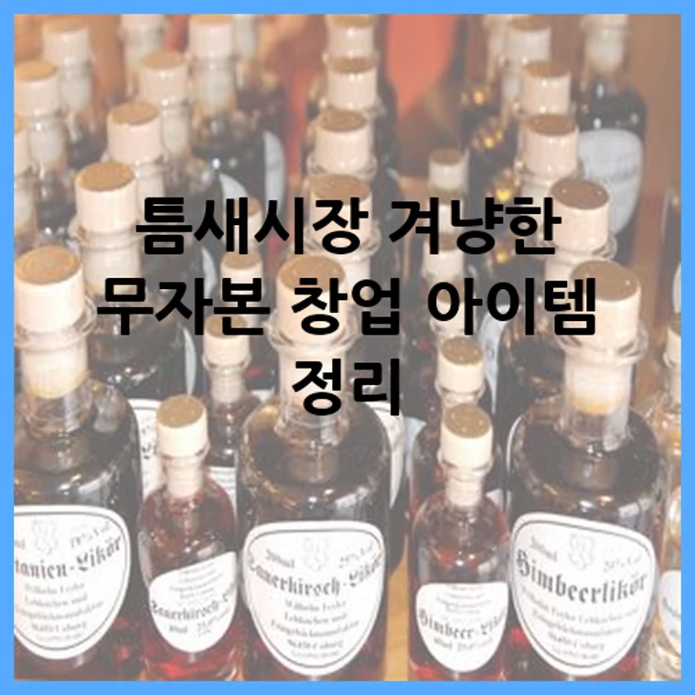 틈새시장 겨냥한 무자본 창업 아이템 정리