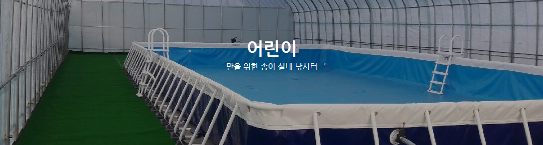 평창송어축제