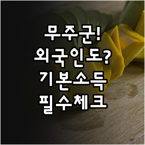 무주군 농어촌 기본소득 외국인 신청 ..