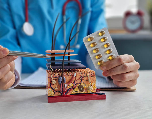 오메가3의 주요 효능