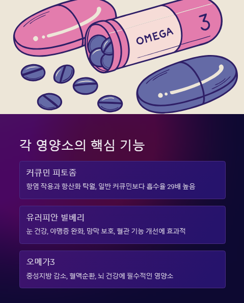 각 영양소의 핵심 기능