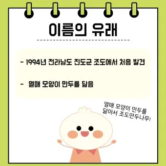 초저조도 식물 추천 빛부족집 관리요령 물주기간격 식물등활용_7
