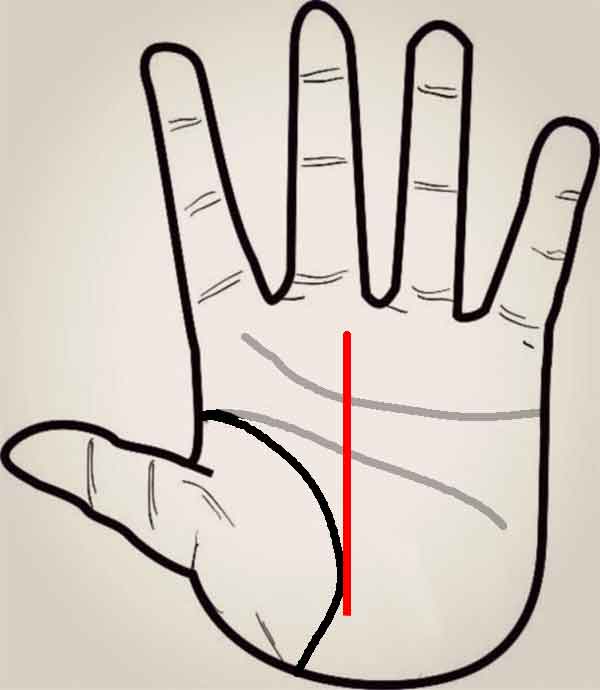 운명선 - 자수성가형 손금