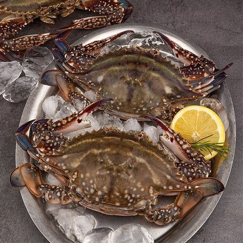 극한직업 진도 꽃게 택배 주문하기