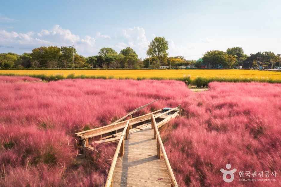 평택 가볼만한곳 베스트10