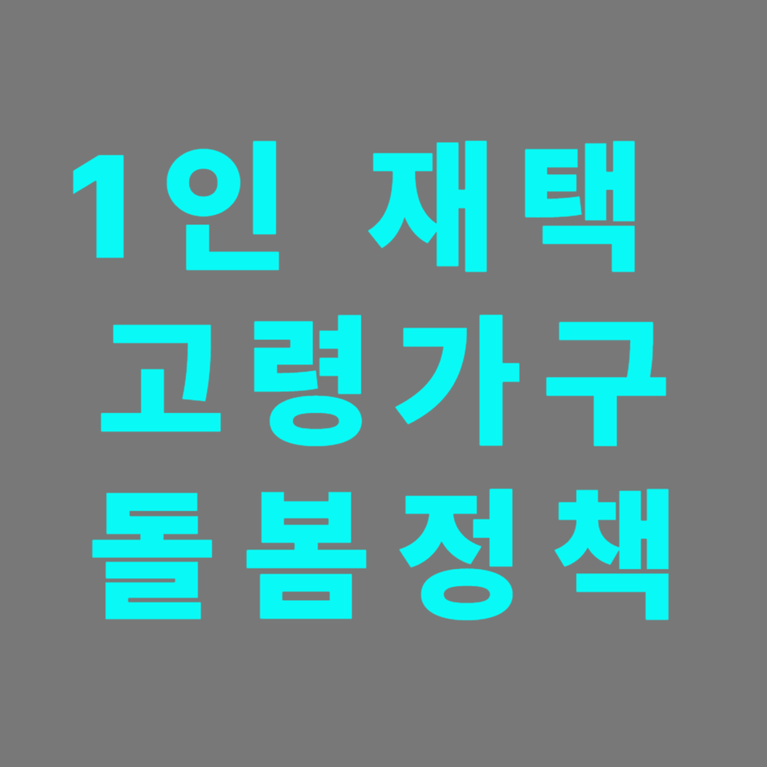 1인 독거 고령가구에 독거사를 막기위한 방향
