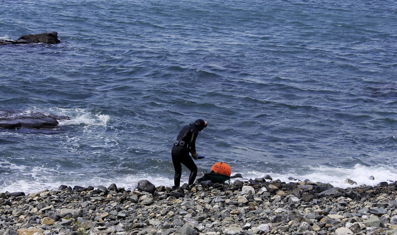 제주 바다 생태계 위기