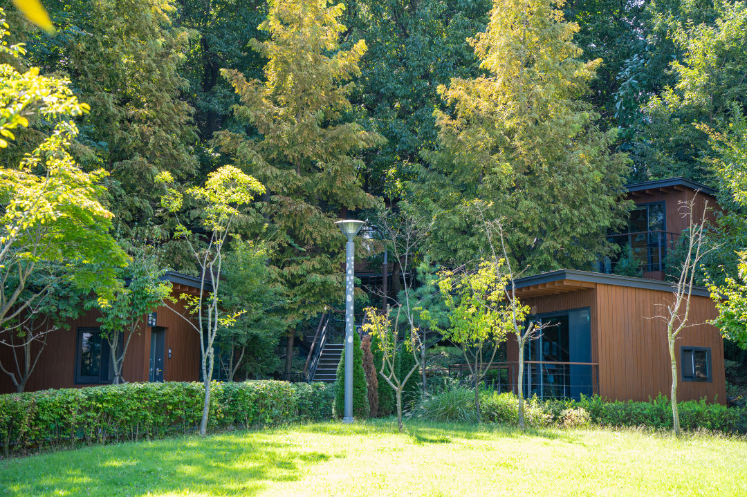 광교 푸른숲 도서관 푸른숲 책뜰