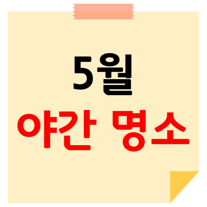 5월 야간에 가볼만한 곳