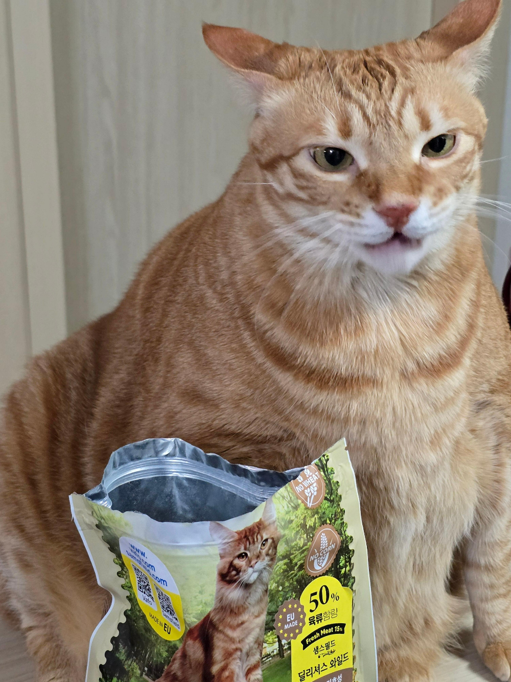 샘스필드 캣 사료5