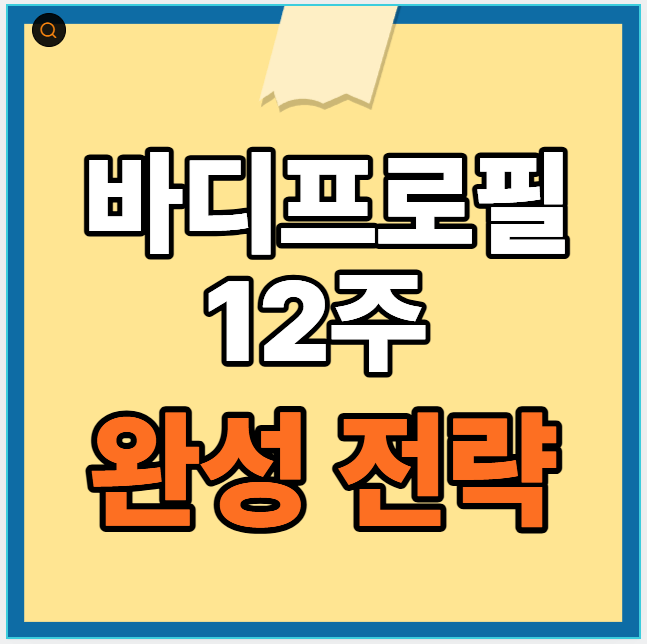 바디프로필 12주 전략