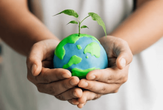 비엘팜텍 주가 전망 화장품 테마 상승 무상증자 권리락 효과 발생