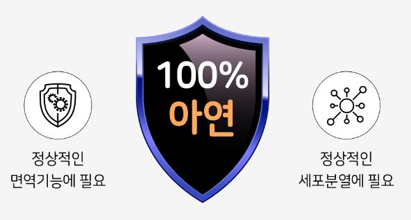 종근당 락토핏 코어맥스