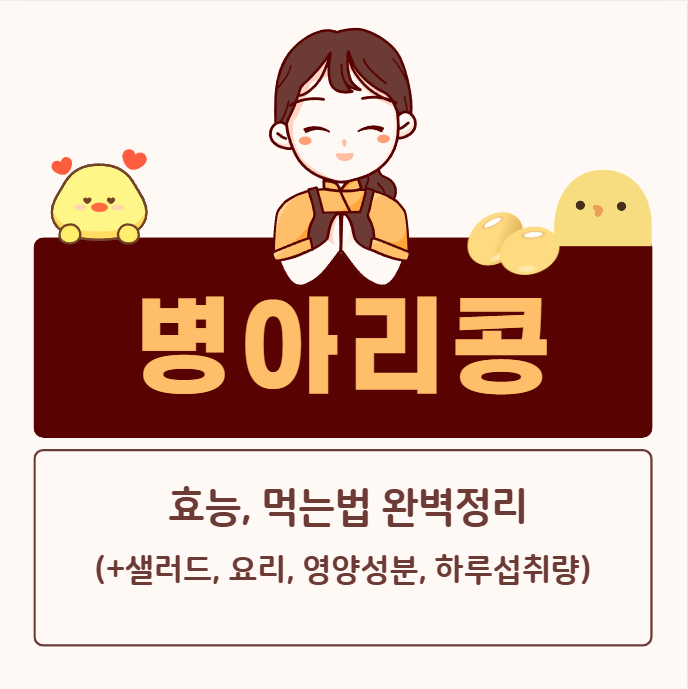 병아리콩 효능 먹는법 완벽정리(+병아리콩 샐러드 요리 영양성분)