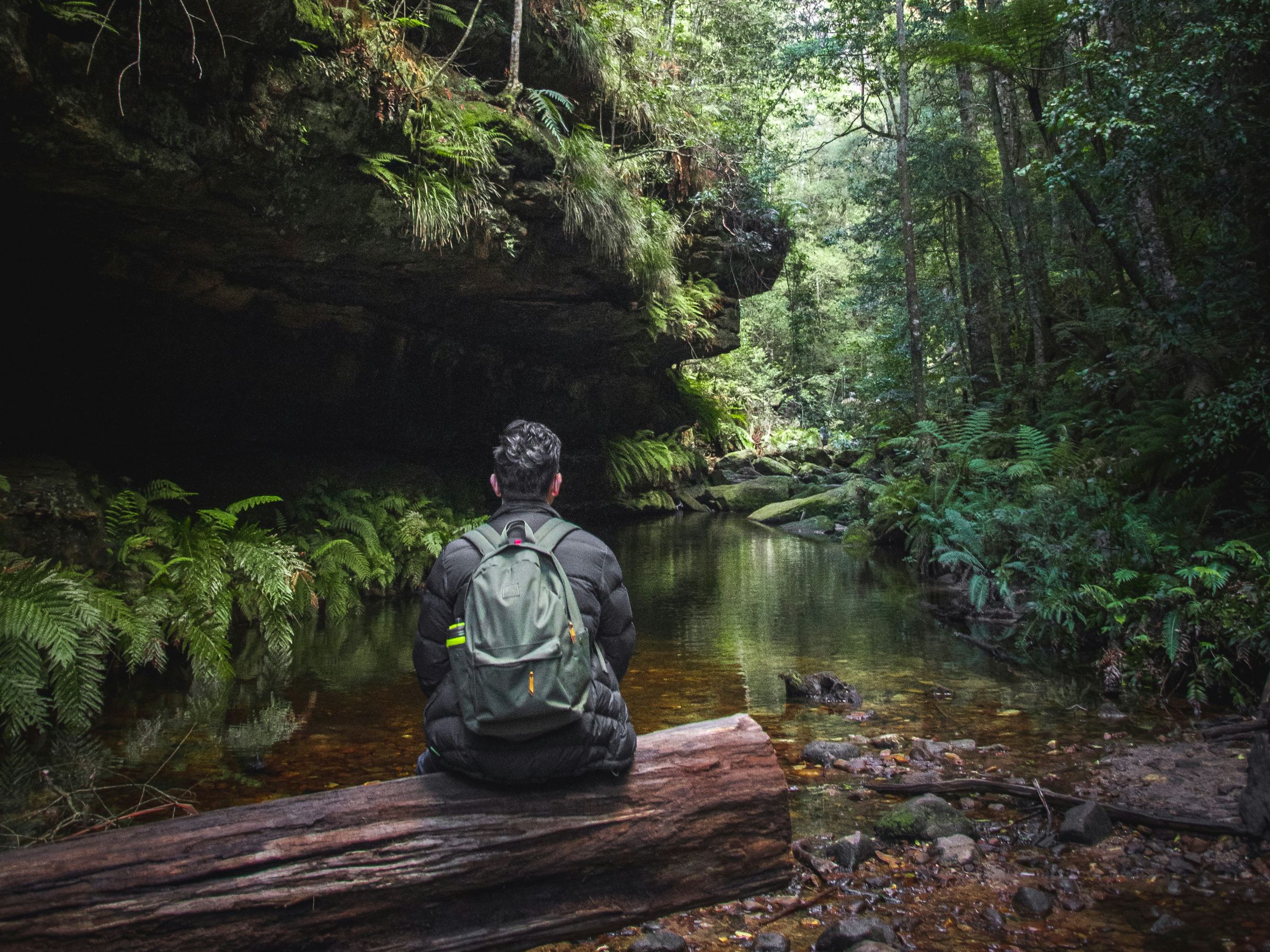 삼림욕과 자연 기반 웰빙