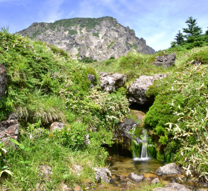 한라산 백록샘 이미지