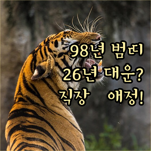 98년생 범띠 2026년 운세 흐름 ..