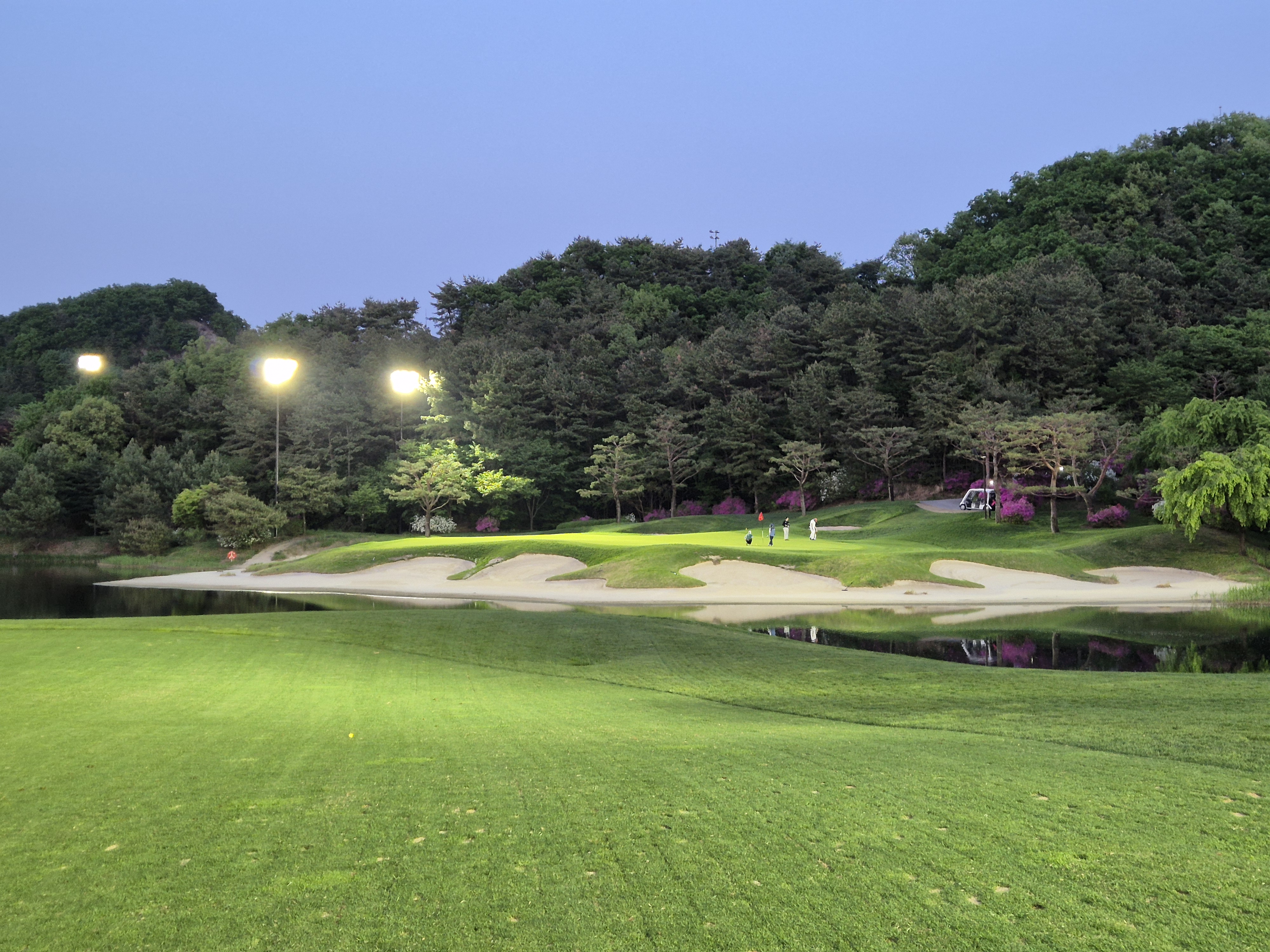 베어크리크cc 크리크코스