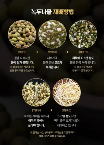 녹두 재배 직파 심기 병해 예방 수확 건조_10