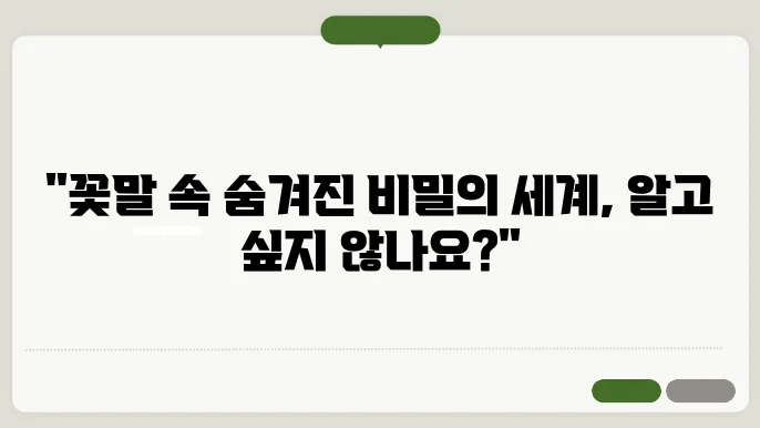 꽃말 모음