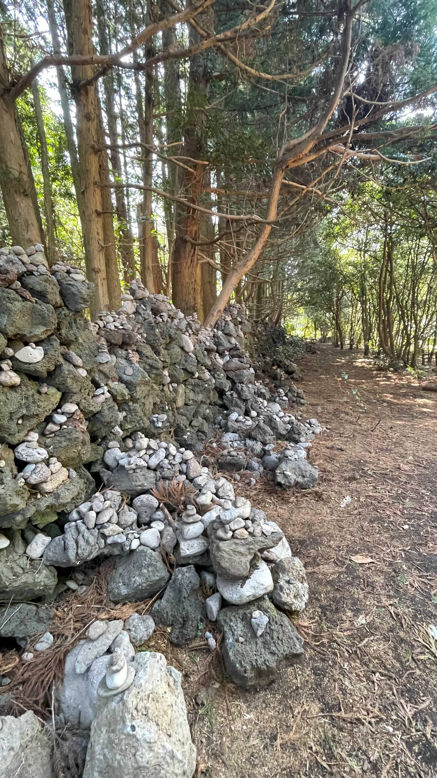비밀의 숲 돌무더기