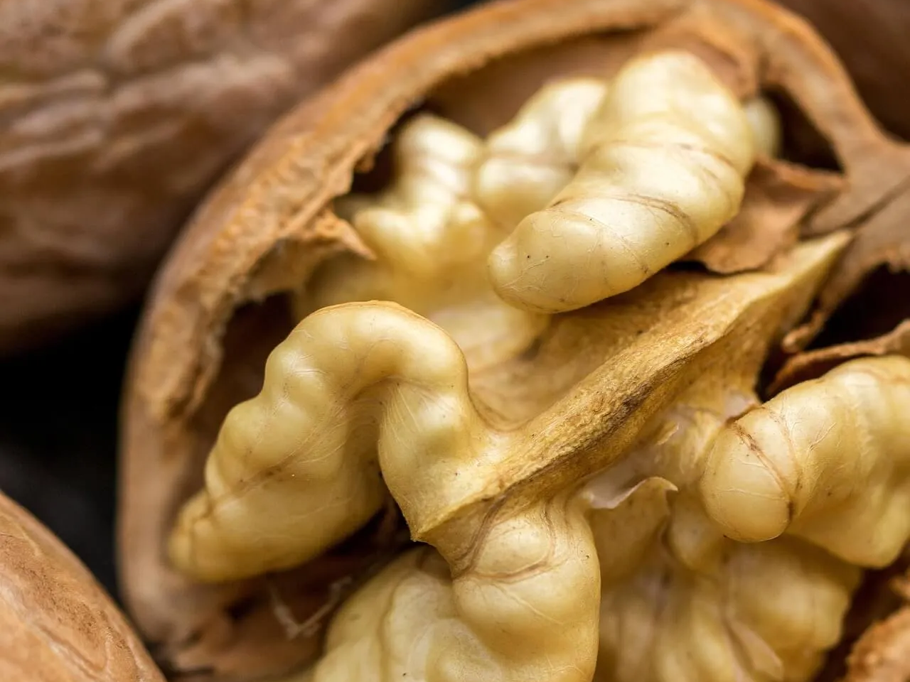 세포를 보호하는 호두의 효능