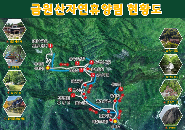 경상도 겨울 트레킹 추천 BEST 5 : 고요하고 깊은 남부의 겨울 숲길