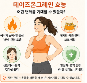 데이즈온그레인-효능-복용법-후기-구매-가격-부작용
