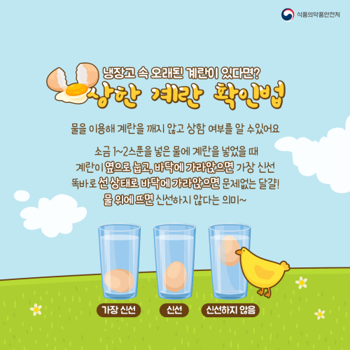 상한-계란을-확인하는-법