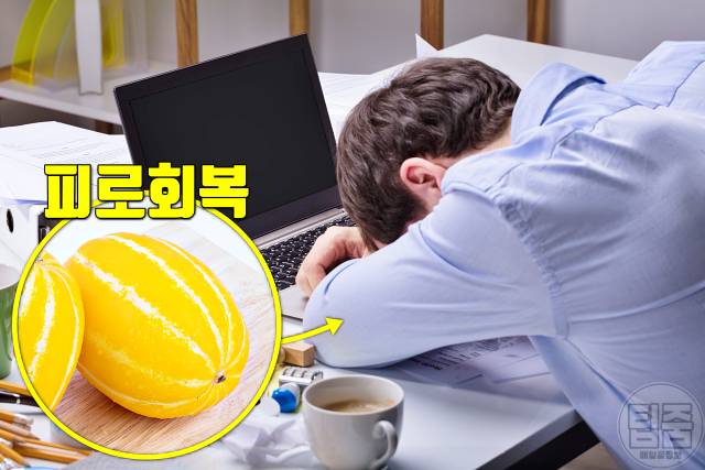 참외 효능 피로 참외씨 참외껍질 참외꼭지 효능 참외부작용 하루섭취량