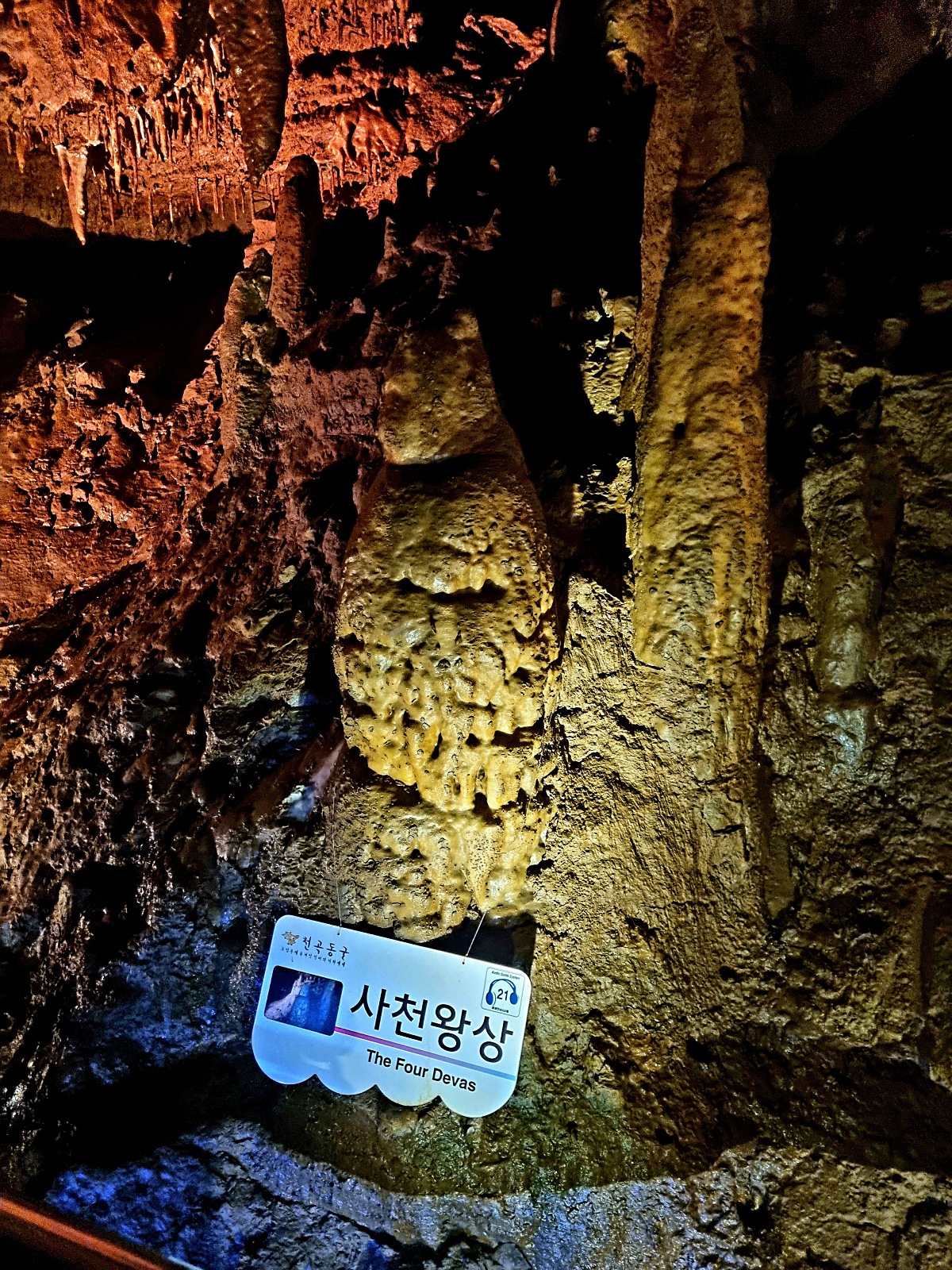 동해 가볼만한곳 천곡황금박쥐동굴 후기 비 오는 날 좋은 실내 여행지