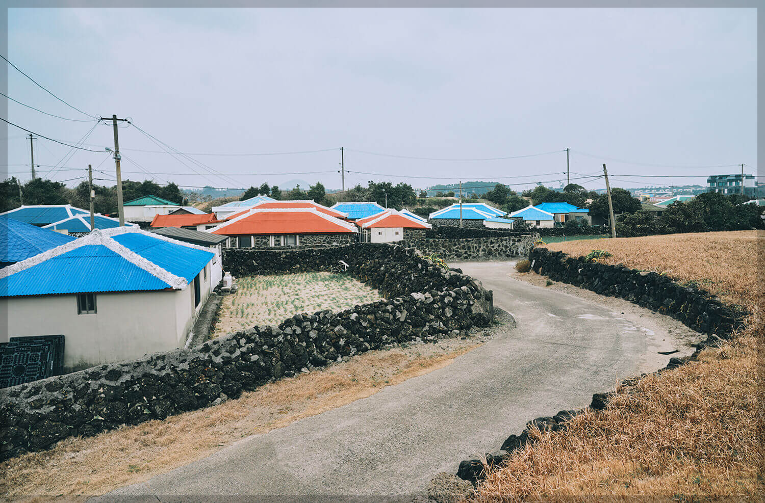 제주 올레길 20코스 지도 맛집 숙소: 북동부 바다의 매력 속으로
