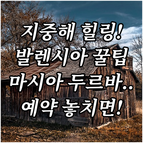지중해 양식 스페인 발렌시아 마시아 ..