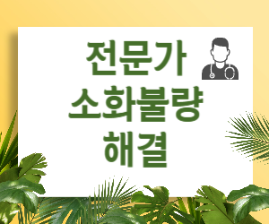 수험생 소화불량 해결, 전문가가 답합니다! 🤔