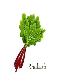 루바브 효능&amp;#44; 갱년기를 책임지는 필수 식품으로 알려져 있습니다.