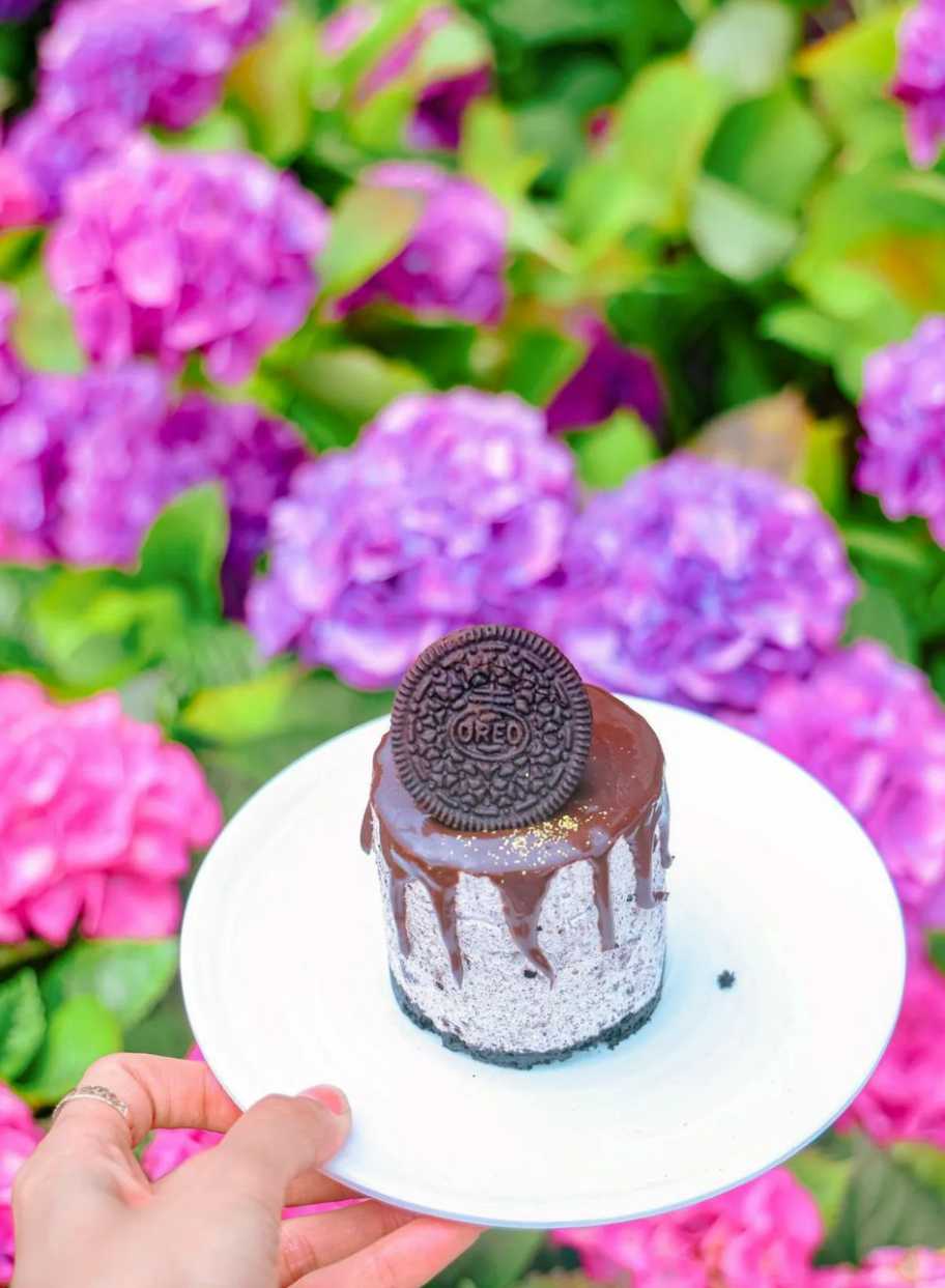 휴애리 수국축제