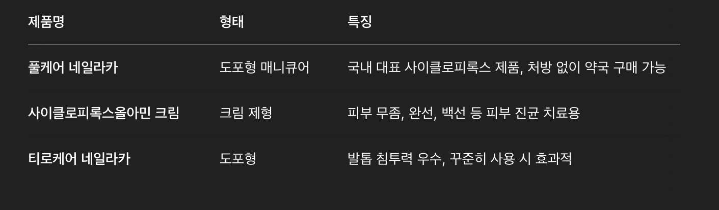 대표 제품 예시