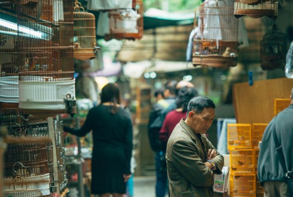 홍콩여행 새시장