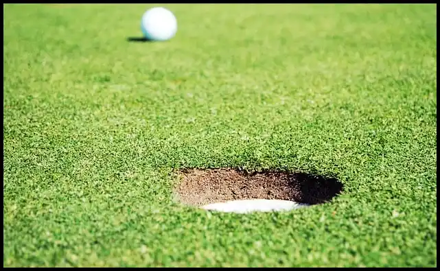 파크골프 용어 정리 (+ 해설 )