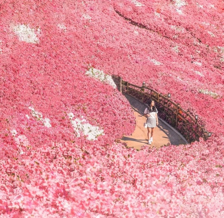 여행 가서 인생사진 찍어오기1