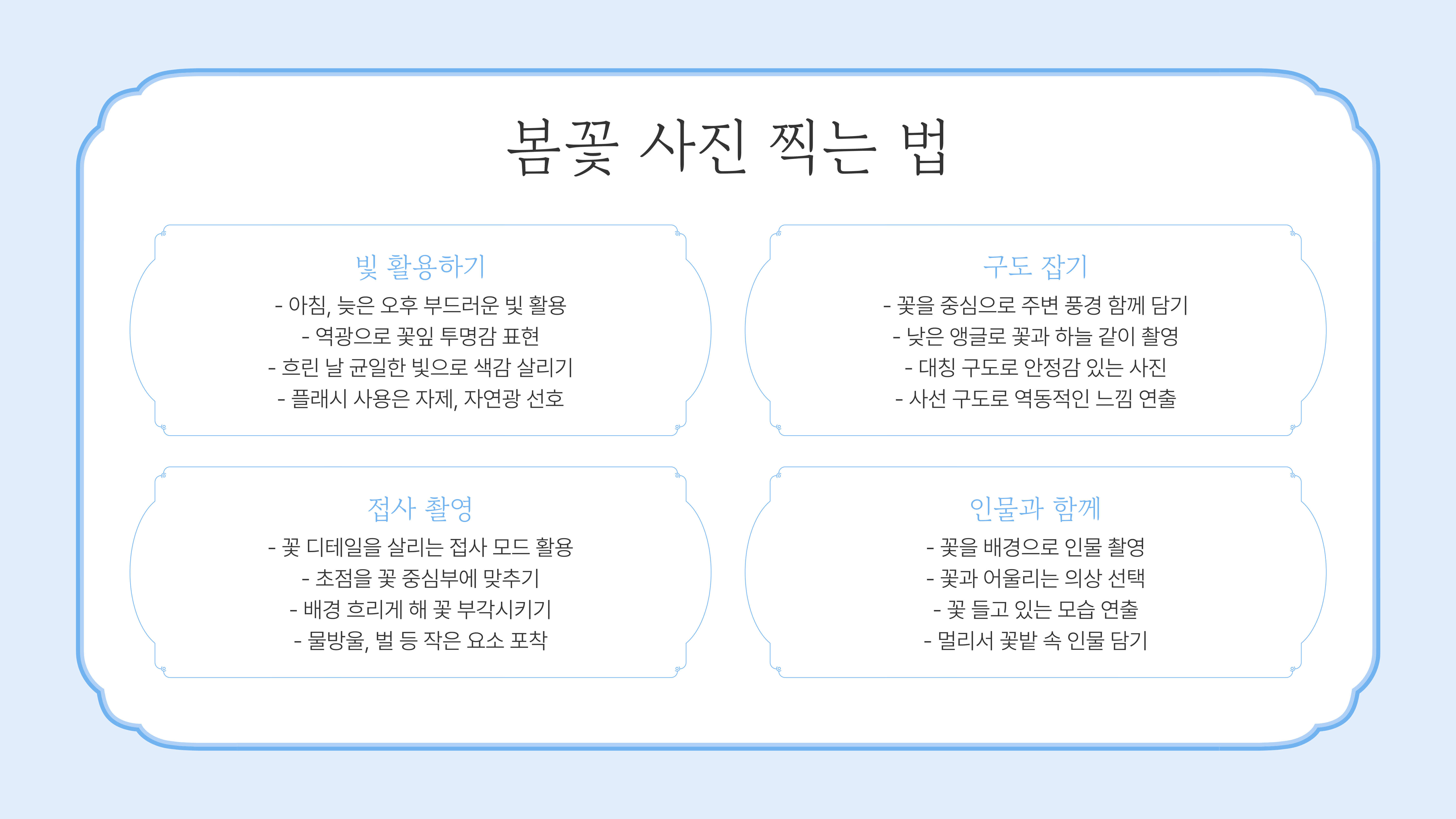 화담숲 봄꽃 개화 시기, 봄 나들이 준비