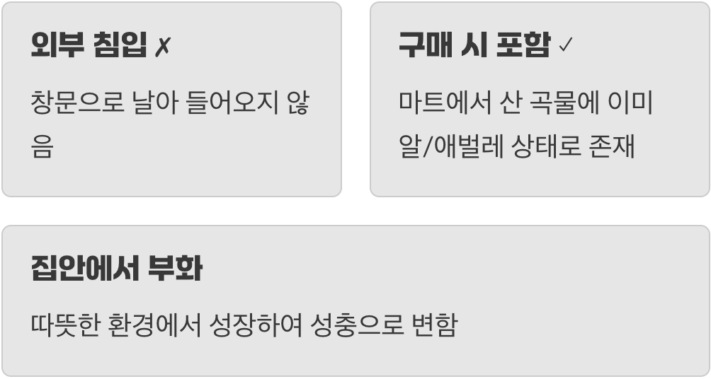 이 벌레, 대체 어디서 오는 걸까?